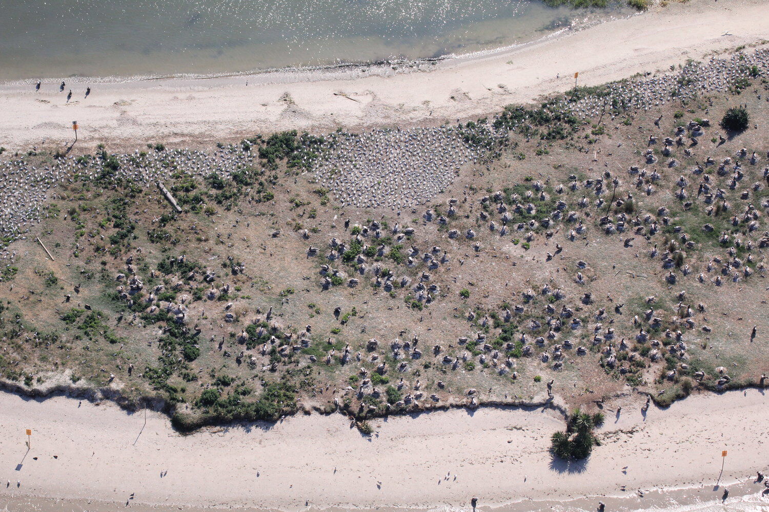 Crab Bank renourishment work gets a projected start date after three years of planning